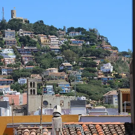 L'alzina Blanes