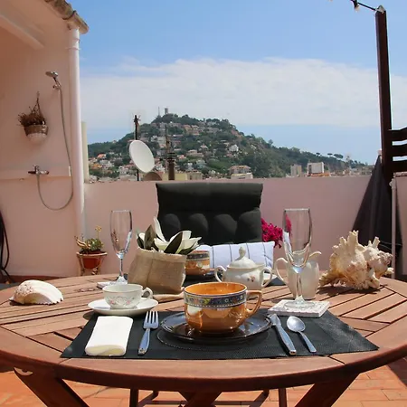 L'alzina * Blanes
